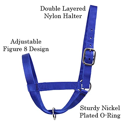 Derby Originals Adjustable Nylon Livestock Cattle Halters - color: Lime Green, size: Large (800-1400lbs)