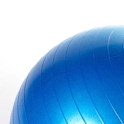 Race&Herd Herding Ball Inner Replacement for Dogs, Medium, 25'' (Blue) - size: 25" Replacement Inner Ball