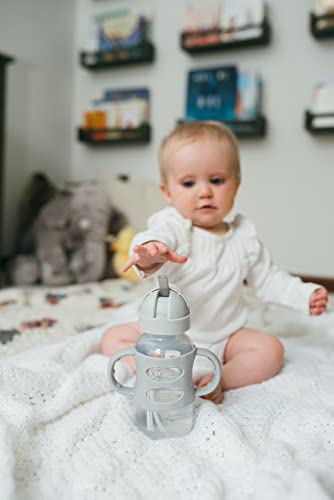 Dr. Brown's Milestones Wide-Neck Sippy Straw Bottle with 100% Silicone Handles and Weighted Straw, 9 oz/270 mL, Gray, 6m+ (Pack of 6) - color: 1-Pack, Gray, size: 1 Count (Pack of 6)