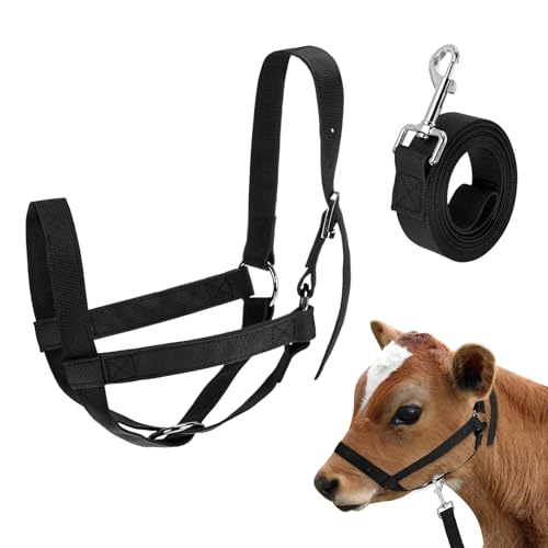 M METERXITY 1-Pack Adjustable Cattle Cow Calf Halter, 16.54"-20.47" Nylon Livestock Cow Halter with Leading Rope for Miniature Horse/Donkey/Goat/Cattle [Black] - color: Black, size: 16.54"-20.47"