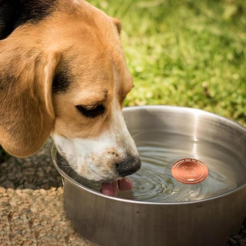Copper Waterer Cleaning Disc, All Season Livestock Water Purifier Tray Keeps Water Clean for Poultry, Dogs & Cattle - size: sheep