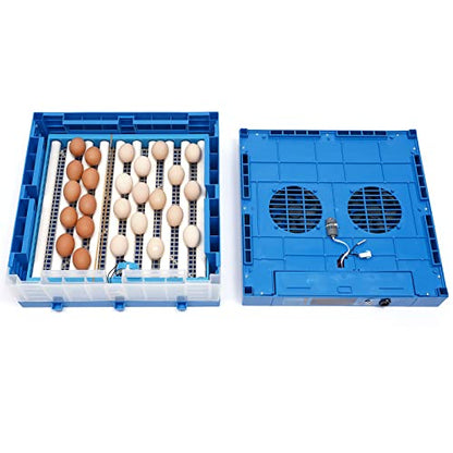 Egg Incubators Kits, 64 Eggs Incubators for Hatching Eggs Automatic Egg Turning Incubator Digital Display Temperature Control One Key Smart Chicken Egg Incubator with Feeder for Ducks, Quail, Pigeons