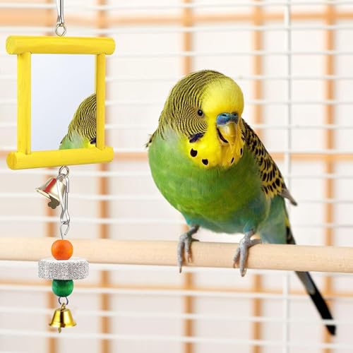 Chicken Toy Mirror Beak Grinder | Safe Multi-Functional Chicken Enrichment Toy for Roosters and Hens, Mirror and Beak Grinding Tool for Garden, Farm, Backyard & Outdoor Entertainment