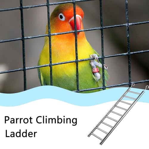 2Pack Stainless Steel Bird Ladders 9-Step Parrot Ladder Hanging Bird Cage Climbing Toys with Hooks Birds Exercise Toy for Parakeets, Parrots, Cockatoo，Rust-Resistant and Easy to Clean - color: 2 PCS