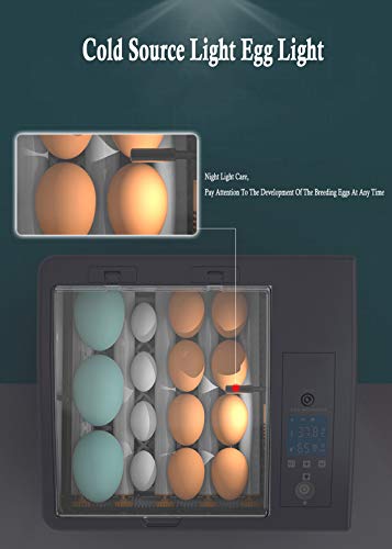 Egg Incubator with Automatic Egg Turning and Humidity Control, Incubator Small, Poultry Hatcher with Digital Display for Chickens Ducks Goose Others, Built-in Egg Candler - color: 24 Eggs Dual Power Supply
