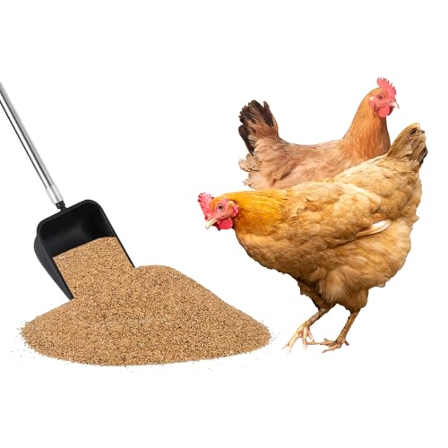 Heavy Duty 3-in-1 Stainless Steel Chicken Poop Scooper with Adjustable Handle – Litter Scoop, Rake & Shovel for Chicken Coops, Sand, Cat Litter, Poultry Habitat Maintenance