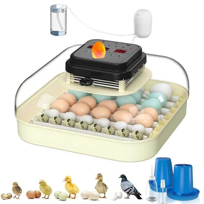 CoInceptus 35 Egg Incubator with Automatic Egg Turning and Humidity Control, Incubator for Chicken Eggs, Quail, Duck Eggs, with Egg Candler
