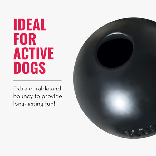 KONG Extreme Ball with Hole - Fetch Toy - Durable Dog Toy for Training, Interactive Playtime & More - Natural KONG Extreme Rubber Ball - Black - For Small Dogs - size: Small (Pack of 1)