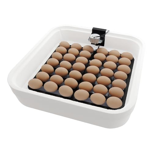 IncuTurn™ Automatic Egg Turner for HovaBator Incubators – Universal Egg Turner Tray for Chicken, Quail & Goose Eggs – Holds 42 Chicken 70 Quail 28 Goose Eggs (Turner Only)
