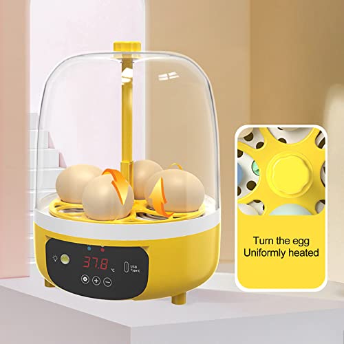 Tissting Mini Egg Incubator, Digital Incubators for Hatching Chicks, Holds 4 Eggs, Automatic Turner with Temperature and Humidity Control