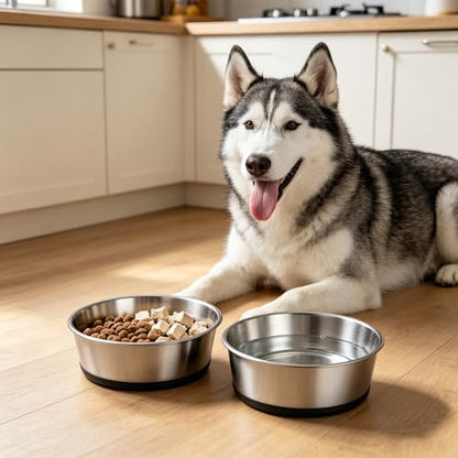 Food Grade 304 Stainless Steel Dog Bowls with Non-Slip Rubber Bottom,Food and Water Bowl for Feeding Dogs and Cats, Dishwasher Safe, Rust Resistant, BPA Free(Set of 2) (Gray, 6 Cup) - color: Gray, size: 6 Cup