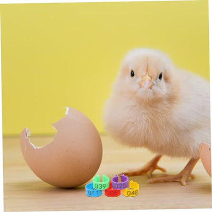 150pcs Poultry Leg Marking Reusable Chicken Identification Bands Bright Color Foot Clips for Easy Breed Separation Lightweight and Convenient for Poultry Care