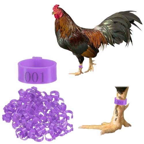 M METERXITY 100-Pack Chicken Leg Bands, 20 mm Plastic Poultry Identification Chicken Leg Rings for Turkey/Duck/Goose/Chicks, Colorful Numbered Foot Clip on Tags [Purple] - color: Purple, size: 2.7 x 2.7 x 1 cm / 1.06 x 1.06 x 0.4 in(L x W x H)