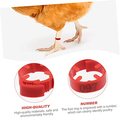 POPETPOP 100pcs Numbered Chicken Leg Rings Poultry Identification Bands for Chickens Ducks and Birds Sturdy Plastic Foot Rings Bright Colors for Easy Identification