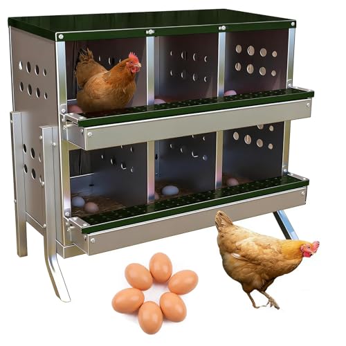 6-Compartment Chicken Nesting Box, Heavy Duty Galvanized Steel Poultry Nest Box, Wall Mount/Freestanding Design for Hens, Ducks, Backyard Homesteads & Farm Use, Dark Green, with 6 Eggs, with Stand - color: Dark Green, size: 6 Room&eggs