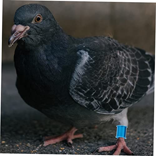 YARNOW 100pcs Sturdy Pigeon Tracking Accessories Aluminum Leg Bands for Racing Birds Random Color