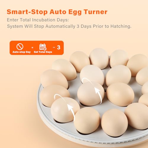 Egg Incubator for Hatching Eggs: Automatic Turner with ±1°F Temperature & Auto Humidity Control - 21-Day Stable Hatching for Chickens - 12-18 Eggs Per Batch - No Assembly