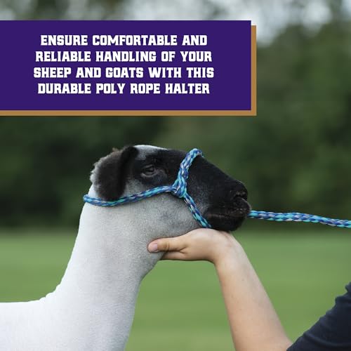 Weaver Livestock Braided Poly Rope Halter, 4 ft Modern, Adjustable, Soft Braid Sheep Halter, Livestock Equipment for Sheep, Goats - color: Blue/Mint/Gray
