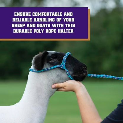 Weaver Livestock Braided Poly Rope Halter, 4 ft Modern, Adjustable, Soft Braid Sheep Halter, Livestock Equipment for Sheep, Goats - color: Blue/Mint/Gray