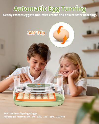 Egg Incubator for 24 Chicken Eggs with Automatic Turner, Digital Temperature Control & Humidity Display, Candler, Poultry Hatcher for Chicken, Duck, Quail, Birds (Green) - color: Green
