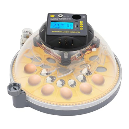 12 Egg Incubator with Automatic Egg Turning & Humidity Control, LCD Display Temp Humidity, Dual Power Ac/Dc with External Battery Cable for Hatching Chicken Duck Eggs Home Farm