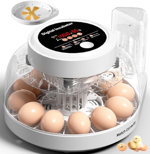 Upgraded Incubators for Hatching Eggs, 12 Egg Incubator with Automatic Egg Turning, Temperature Control & Humidity Display, LED Candler, Incubator for Chicken, Duck, Quail Eggs - color: White, size: 12 EGGS