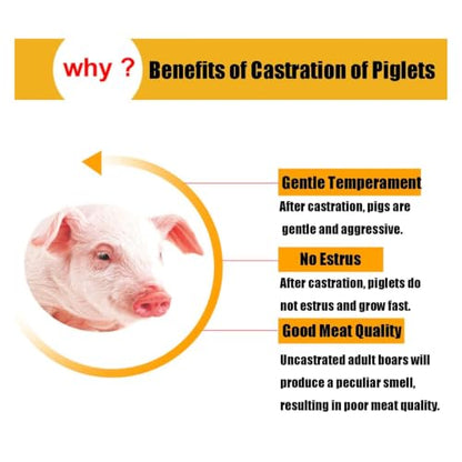 Piglet Castration Tools Portable Stainless Steel Operation Platform Swine Cradle Holder Castrated Rack for Hog Farrowing Crates and Family Farms(Large) - color: Large