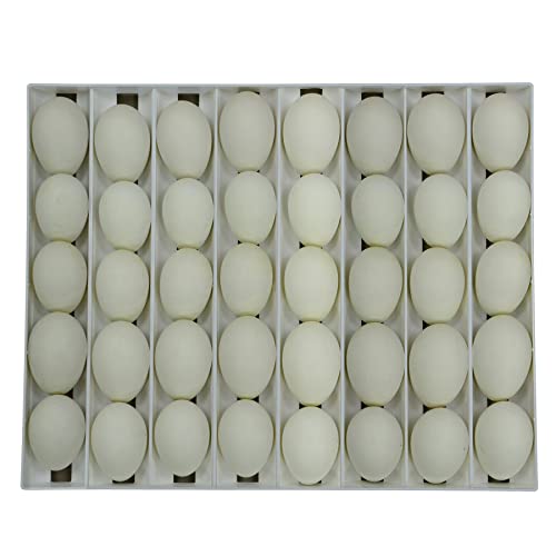 Hatching Time Egg Setter Tray (40 Goose Eggs), Good Fit, Durable, Washable, Easy to Clean, Cimuka, Fits Incubators, ABS Plastic - style: 40 Egg Setter Tray - Goose