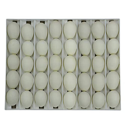 Hatching Time Egg Setter Tray (40 Goose Eggs), Good Fit, Durable, Washable, Easy to Clean, Cimuka, Fits Incubators, ABS Plastic - style: 40 Egg Setter Tray - Goose