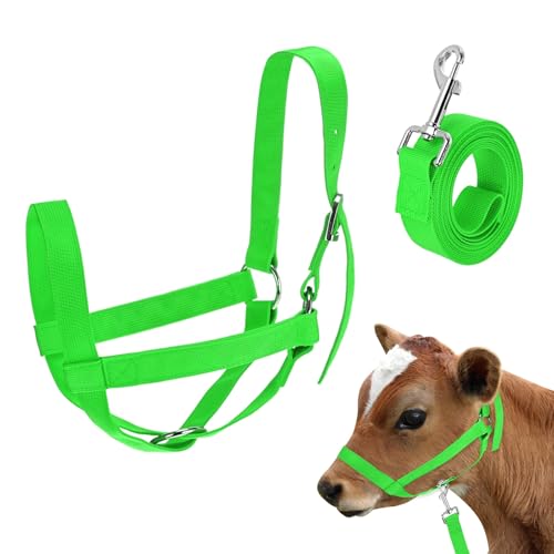 M METERXITY 1-Pack Adjustable Cattle Cow Calf Halter, 16.54"-20.47" Nylon Livestock Cow Halter with Leading Rope for Miniature Horse/Donkey/Goat/Cattle [Green] - color: Green, size: 16.54"-20.47"
