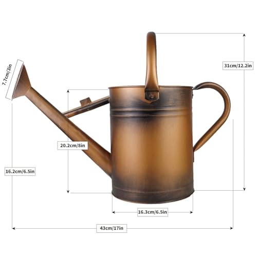 1 Gallon Metal Watering Can with Removable Spout, Nice Galvanized Steel Water Can for Indoor and Outdoor Plants (House Plants) - color: Bronze