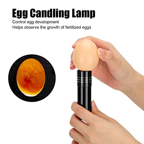 Egg Candler, Cool Light Portable Egg Candling Lamp with High Intensity Light for Chicken, Goose, Duck, Eggs, Incubation Learning (Red) (Blue (0.6mm Thickness)) (Black)