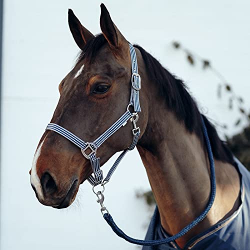 HORZE Munich Adjustable Horse Halter and 7' Lead Rope Set - Reflecting Pond - Horse - color: Reflecting Pond
