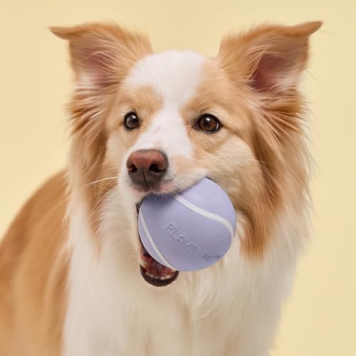 Playology Dog Toys | Squeaky Chew Ball for Large Dogs | Lamb Scented Jumbo Dog Ball | Bouncy Floating Chew Toys for Fetch - size: Jumbo, style: Lamb