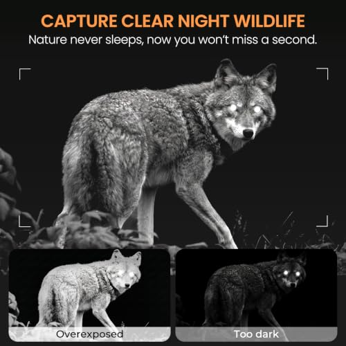 MAXDONE Solar Trail Camera 4K 64MP (MicroSD Card NOT Included), WiFi Bluetooth Game Camera with Motion Activated 6000mAh Rechargeable, Wildlife Cameras with Night Vision IP66 Deer Cams for Outdoor - color: Ink Gray