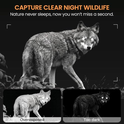 MAXDONE Solar Trail Camera 4K 64MP (MicroSD Card NOT Included), WiFi Bluetooth Game Camera with Motion Activated 6000mAh Rechargeable, Wildlife Cameras with Night Vision IP66 Deer Cams for Outdoor - color: Ink Gray