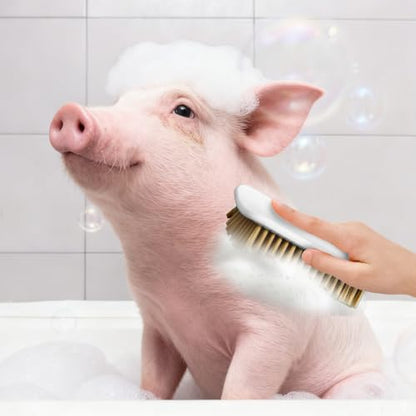 Pig Enrichment Toy,2 PCS Pigs Self-Grooming Brush Easy Install for Pens Barns Yards fit Guinea Pigs Rabbits