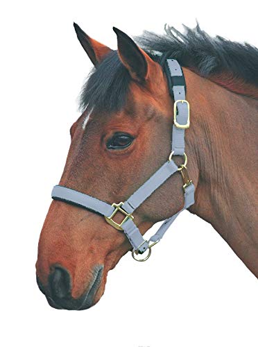 Shires Topaz Leather Breakaway Nylon Headcollar - color: Grey, size: Small Pony
