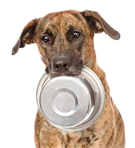2 Pack - 10 Cup (2.4 Liter) Stainless Steel Dog Bowls – Metal Dog Food Bowls, Dog Water Bowls, Pet Feeding Bowls, Replacement Bowls for Raised Stands, Rust Resistant, Dishwasher Safe - color: Stainless Steel