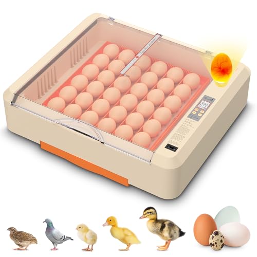 Egg Incubator with Auto Turning and Humidity Control, 36-60 Eggs Hatcher with External Drawer Water Tank, Adjustable Space for Chicken Duck Goose Quail Turkey Eggs, Orange - color: Orange, size: 36 Egg orange