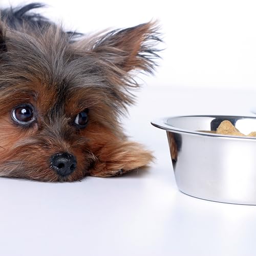2-Pack Stainless Steel Dog Bowl ~ (8.8" Outer Diameter) Pet Feeder Replacement Bowls - size: 7.8 Cups