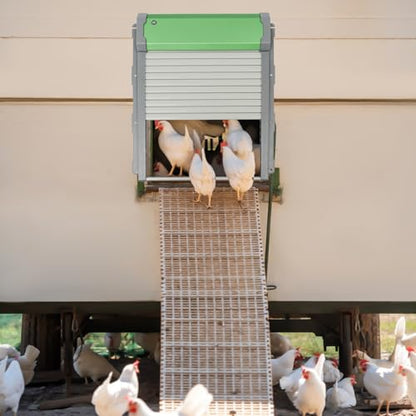 Automatic Chicken Coop Door Solar Powered,Smart Anti-Pinch Aluminum Automatic Chicken Door with Timer and Light Sensor,Range 40M Remote Control Solar Chicken Coop Door,Waterproof