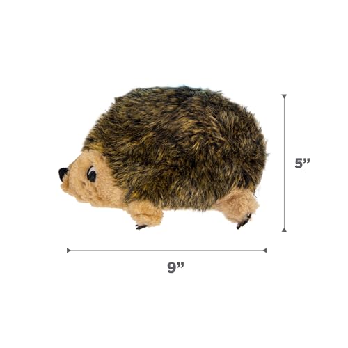 Outward Hound Hedgehogz Stuffed Dog Toy – Soft Plush Hedgehog, Grunts & Squeaks, Medium, 9" x 5" x 6.5" - size: Medium (Pack of 1)