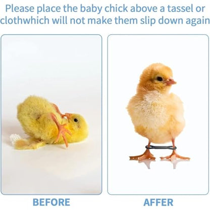 Chicken Leg Bands 500 Pcs Baby Chicken Splay Leg Hobble Brace Adjustable Poultry Bands for Newborn Spraddle Chick Bird Quails Ducks