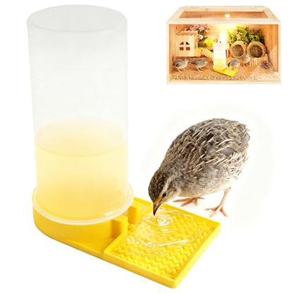 Large Capacity Quail Water Feeder,Button Quail Supplies for Quails Cage, Multi-Use as Quail Feeder, Quail Waterer, Chick Waterer,Baby Chick Waterer, Ideal Quail Feeders for Baby Bird