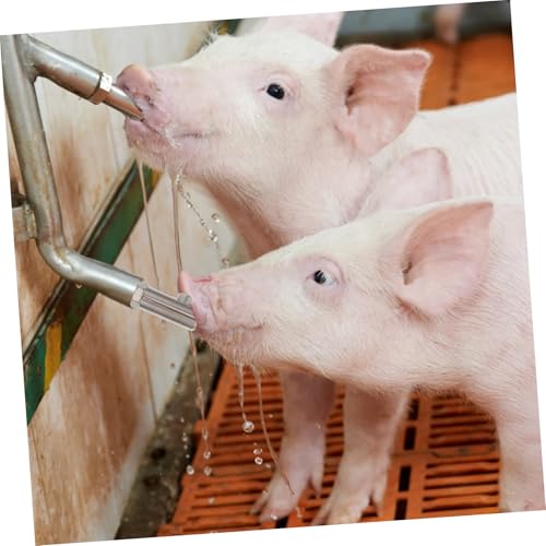 BESPORTBLE Anti-Splash Stainless Steel Pig Waterer Nozzle Durable Automatic Drinking Dispenser for Livestock for Farm Use Easy to Install and Portable Nipple Waterer for Pigs