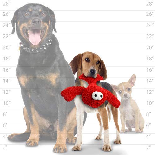 MIGHTY® 2 Pack Microfiber Large Lobster Ultra Durable Plush Dog Toy | Multiple Layers & Reinforced Seams , Washable and Floats , Mighty® Construction - color: 2PK Red Lobster