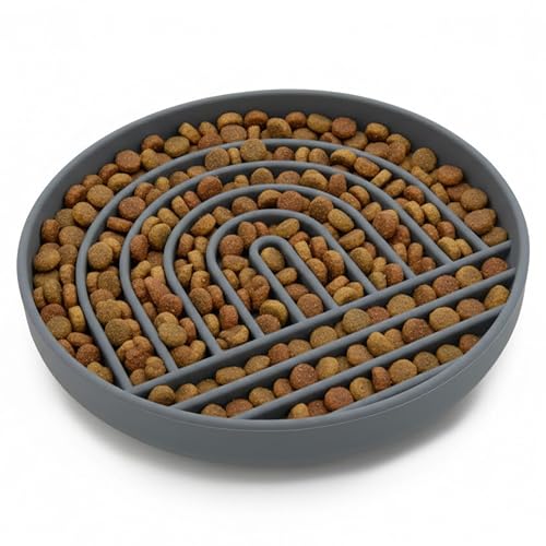 Should We Go? Slow Feeder Dog Bowls - Large Size Silicone Slow Eating Dog Bowl for Puppies & Dogs with Suction Cup -Dishwasher-Safe, Lick Mat Design, Reduces Gulping,for All Breeds,9.5”x1.5”-Charcoal - color: Charcoal - Rainbow Design, size: Large (9.5” A