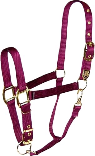Hamilton Deluxe Horse Halter, 1" Triple Ply Nylon, Adjustable Chin Strap, Easy On/Off Throat Snap, Large Horse or 2 Year Old Draft, 1100-1600 lbs, Wine - color: Wine, size: Large, 1100-1600lbs