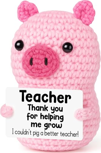 GevGuxLuo Funny Positive Pig Teacher Appreciation Birthday Gifts for Women | Back to School Thank You Gifts for Teachers End of Year, Handmade Crochet Pig Gift for Female Mother Positive Small Decor - style: Teacher
